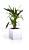 Flower Lover Cubico 42x21x21 blanc glace